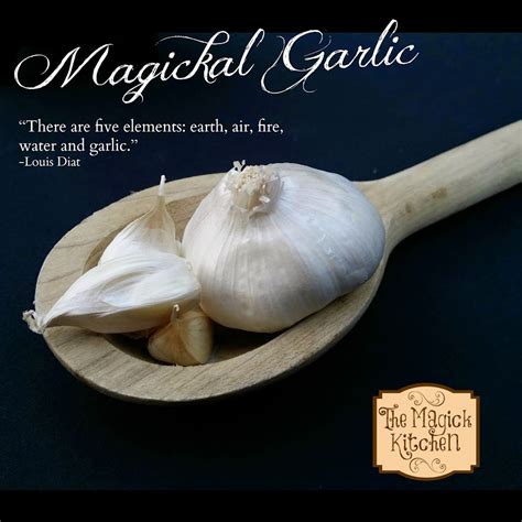 Witch and pungent garlic
